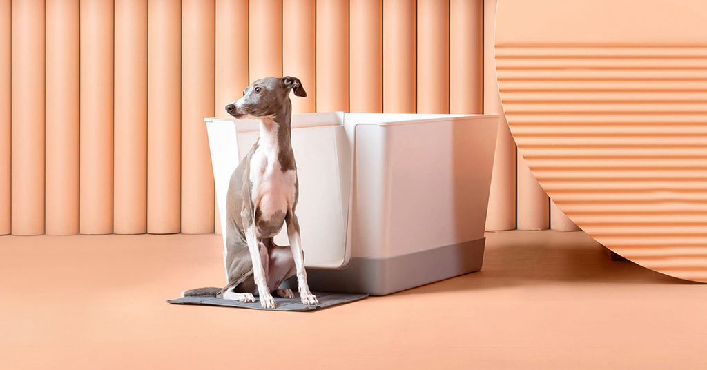 Indoor potty deals for male dogs