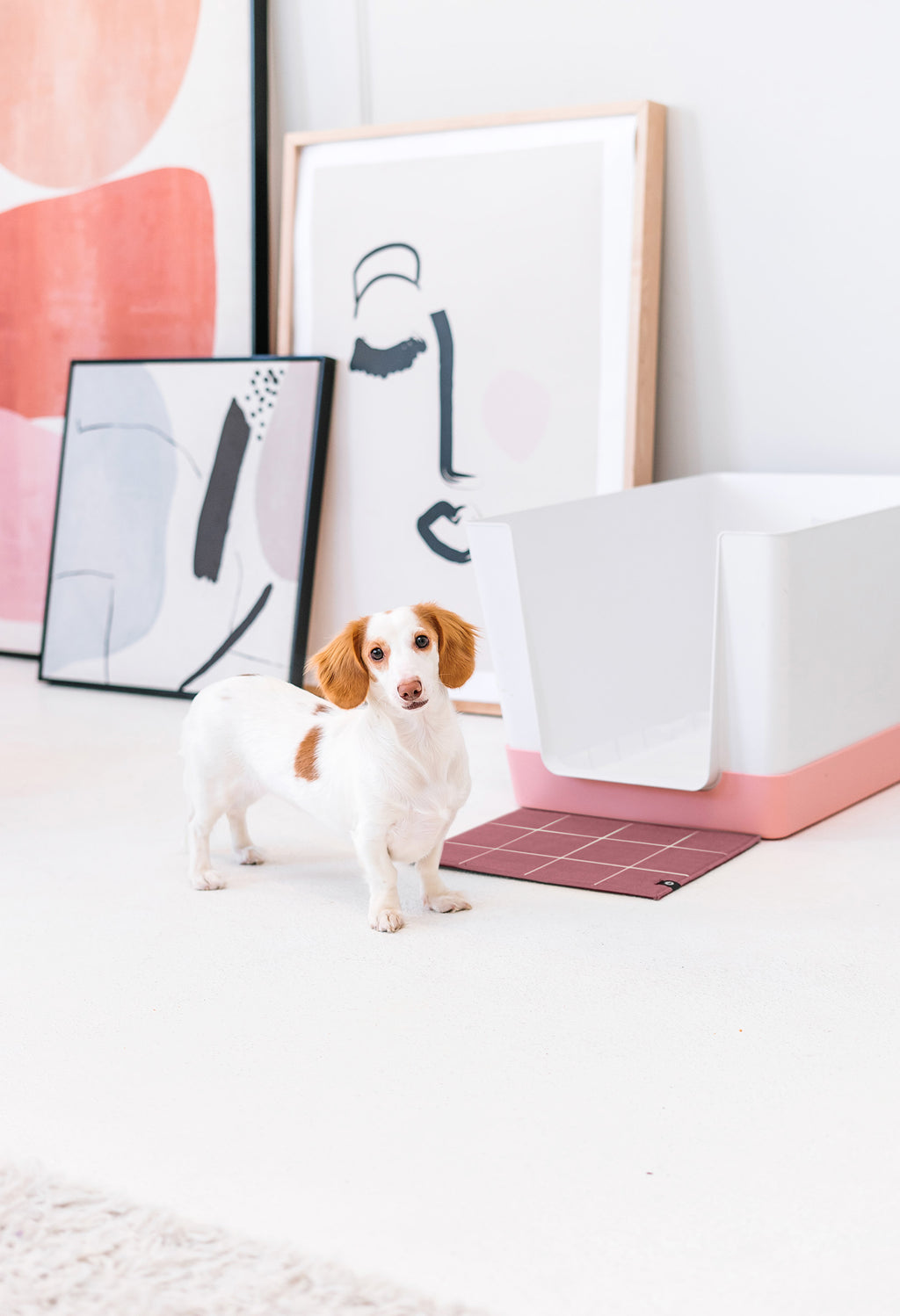 Mats DoggyBathroom DoggyBathroom The Best Dog Litter Box with