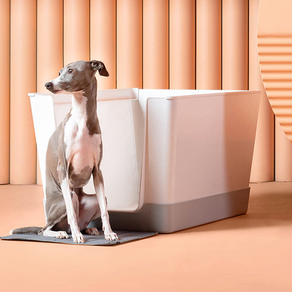 Dog litter tray top pets at home