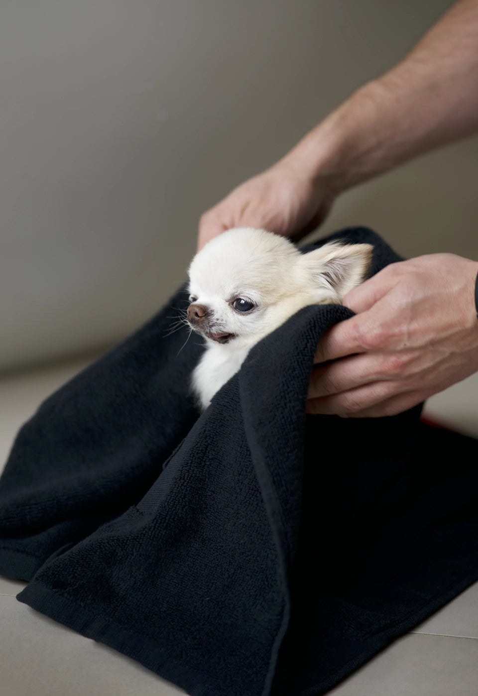 Doggy Bathroom x Keith Haring Barking Dog Towel